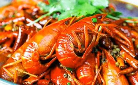 龍蝦大戰烏龜作文450字