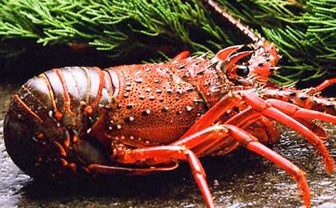 ��؂��С���rС�W(xu��)���@������