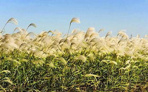 �JȔ�ഺ���ɺ���������