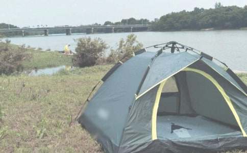 �����x��¶�I(y��ng)����600����ƪ