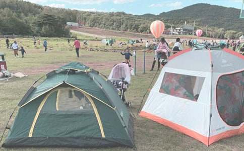 露營(yíng)作文600字六篇