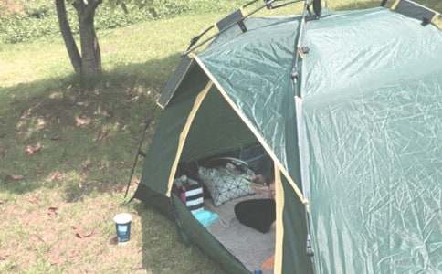 �����A��¶�I(y��ng)����600����ƪ