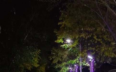 ����������Ӱ��������·����