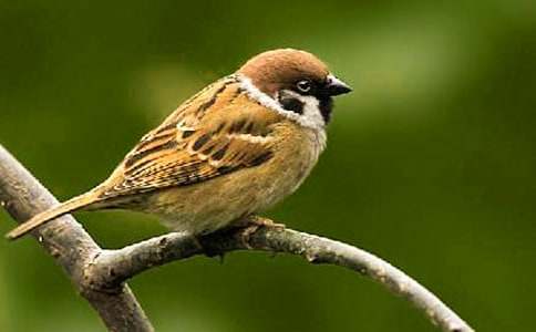 ���ꌑ(xi��)��ȸ������