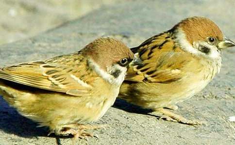 �w���С��ȸ700������