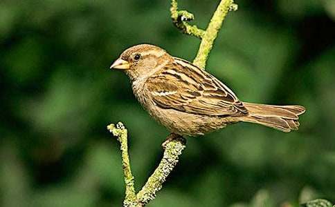 �����A����ȸ����500����ƪ