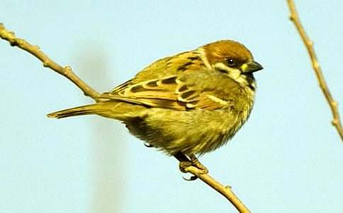 �茑(xi��)��ȸ�ă�(y��u)�����ģ�ͨ��28ƪ��