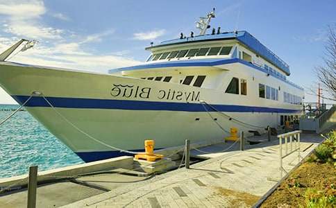 �a�^��(ch��ng)�ؽ�(j��ng)�I(y��ng)���D׌��ͬ��(sh��)