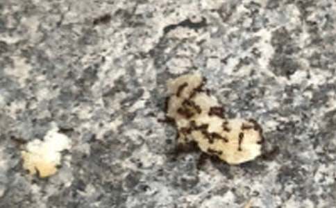 СΛρ�v�Uӛ�m��(xi��)���ģ�ͨ��58ƪ��