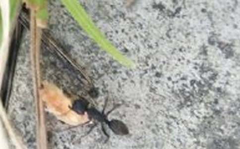 ���˵�Λρ��������