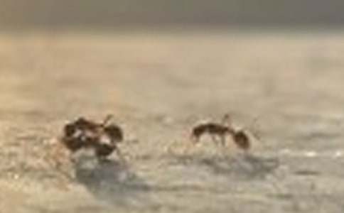 Λρ�Ć�ʾ���ģ����x34ƪ��