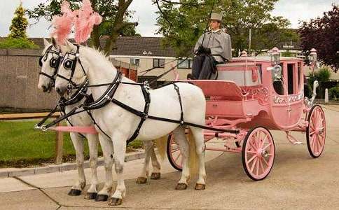 �R܇(ch��)��Ԣ�Թ���