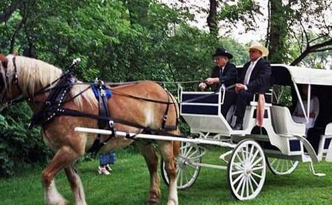 ���R܇(ch��)��Ĺ��¡�Ԣ�Թ���