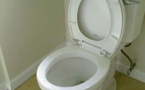 馬桶節水的講究作文