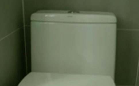 【熱門(mén)】馬桶節水的講究作文