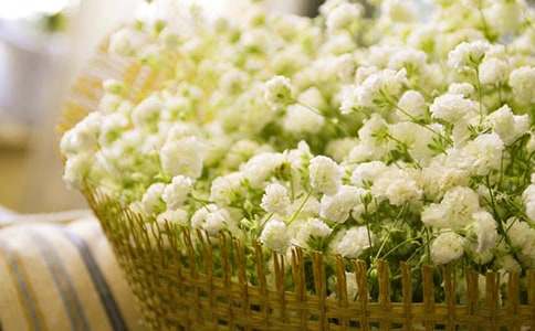 �{ɫ�M(m��n)���ǻ��Z(y��)���x-�r���Y�x