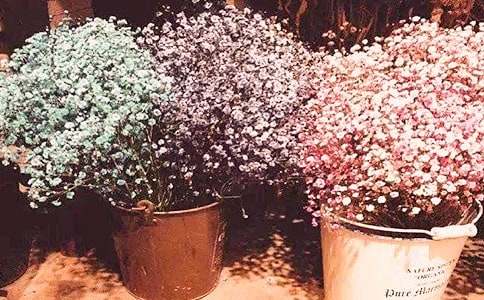 �M(m��n)����800�����ģ����x35ƪ��