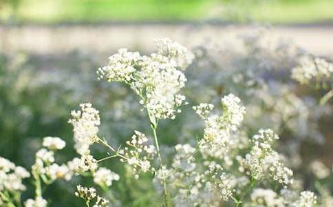 ��B�M(m��n)���ǵ�400������