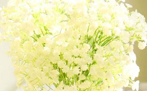 滴露的滿(mǎn)天星小學(xué)作文