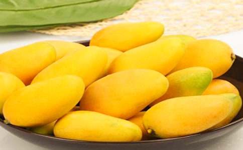 小學(xué)生芒果樹(shù)的作文