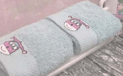 毛巾一家500字作文