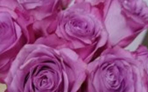 С�W(xu��)���茑(xi��)õ�廨�ă�(y��u)�����ģ����x37ƪ��