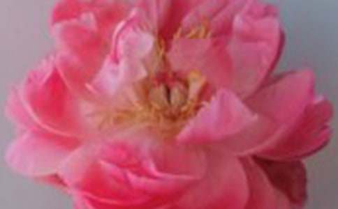 õ�廨�f(shu��)�������ģ����x37ƪ��