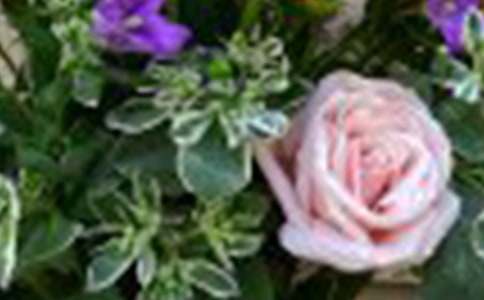 õ�廨��������