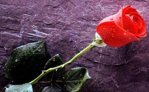 С¹��õ�廨��(y��u)��̌W(xu��)�OӋ