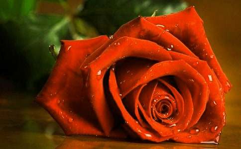 �P(gu��n)��õ�廨�������_(k��i)�^��ͨ��10ƪ��