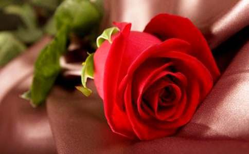 ӛ���еİ�õ���������