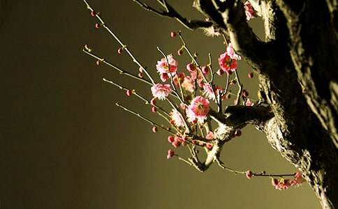 ٝ��÷���~�Z(y��)