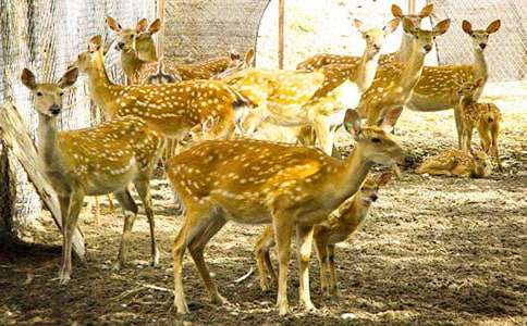 ÷��¹������ͨ��15ƪ