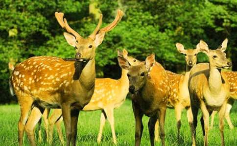 ȫ��؞ע��÷��¹����500��