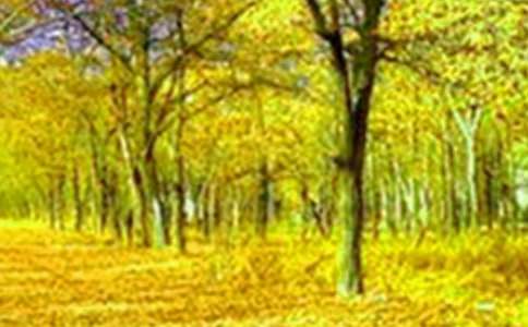 ɽ�ϵ���������2ƪ