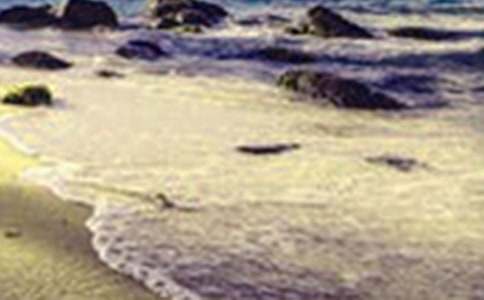 記憶深處的美景高中作文