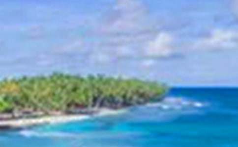 �P(gu��n)������ѩ���ĺϼ�6ƪ