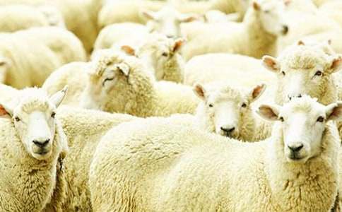 С�d�������˵�С���L���̰�