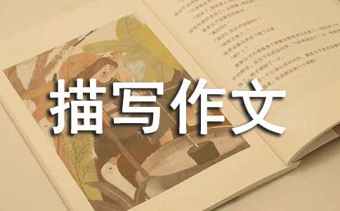 ���：���茑(xi��)����600�֣����x24ƪ��