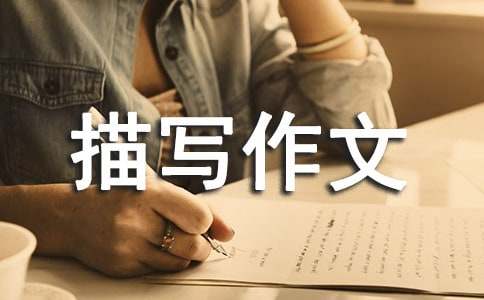 �P(gu��n)��ɽ�ľ����茑(xi��)����