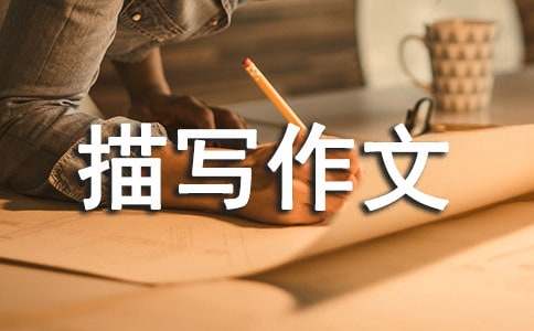 �����(ch��ng)���茑(xi��)���ģ�ͨ��26ƪ��