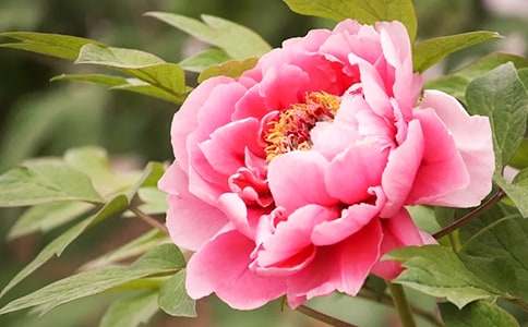 �P(gu��n)��ĵ������600�֣�ͨ��21ƪ��