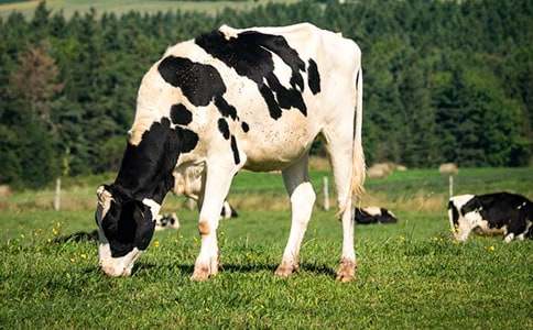 �m��(xi��)��������������