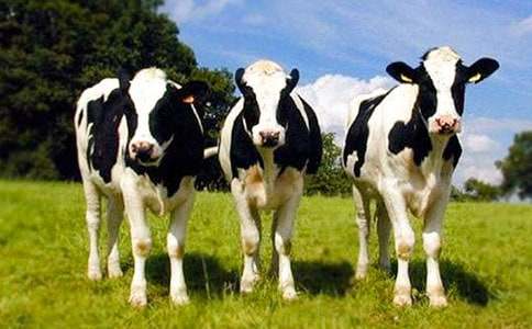 �Ұ��Ђ�(g��)��������������(xi��)������