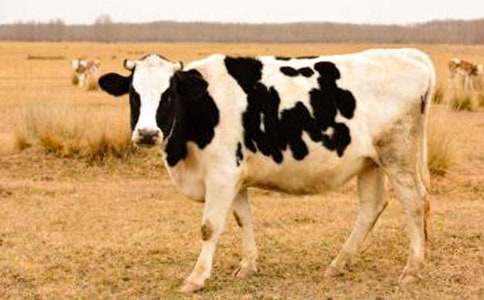 �P(gu��n)����ţ����300�֣�ͨ��18ƪ��