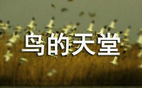 �����T(m��n)���B(ni��o)����������