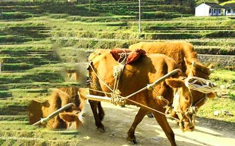 ţ܇(ch��)�ϵĎ�������