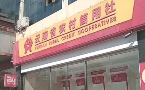 (優(yōu)秀)農村信用社個(gè)人總結