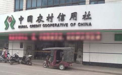 農村信用社主任述職報告集合6篇