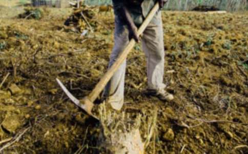 �r�������xӖ������